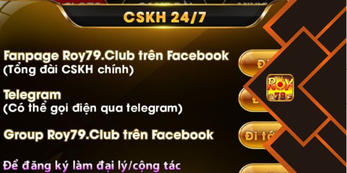CSKH Roy79 chuyên nghiệp, tận tâm