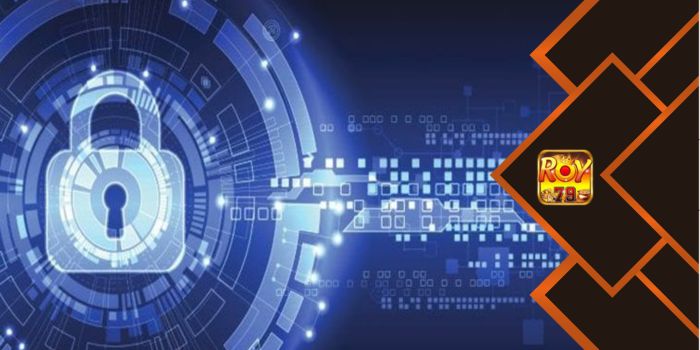 Roy79 bảo vệ quyền và lợi ích khách chơi mọi lúc, mọi nơi